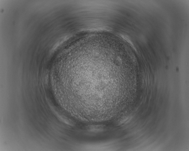 X0000067900495200604271856