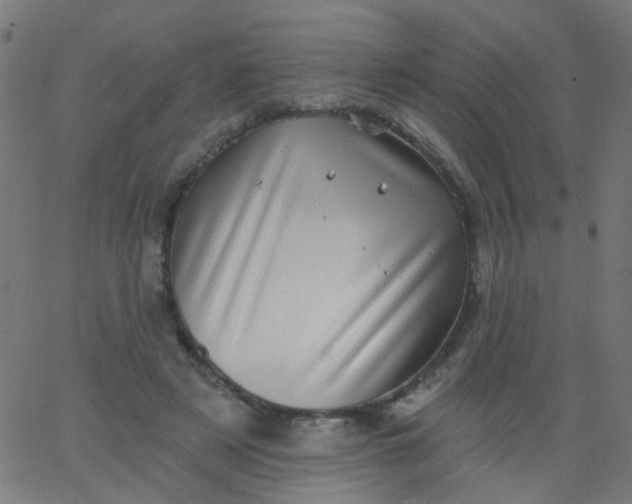 X0000067900497200604271856