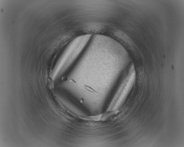 X0000067900498200604271856