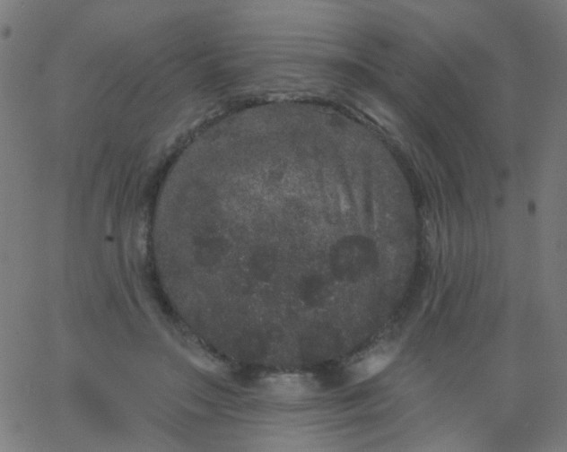 X0000067900499200604271856