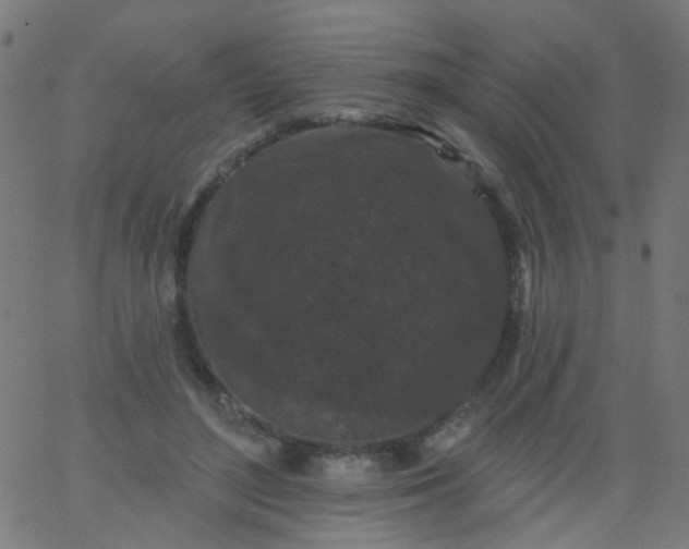 X0000067900500200604271856