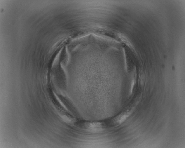 X0000067900501200604271856