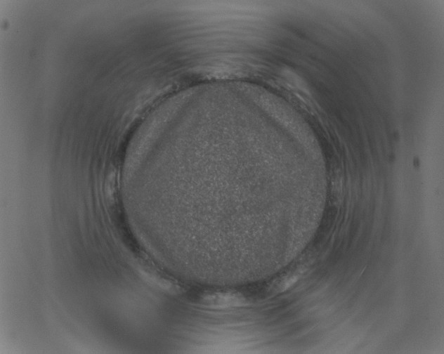 X0000067900503200604271856