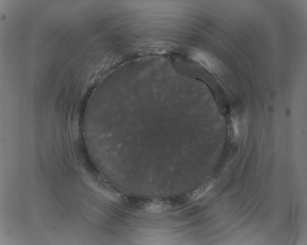 X0000067900504200604271856