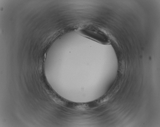 X0000067900505200604271856