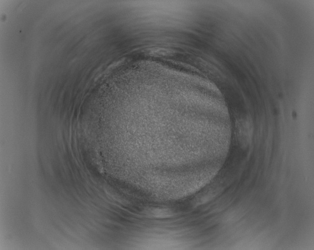 X0000067900506200604271856