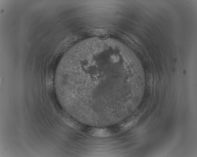 X0000067900507200604271856