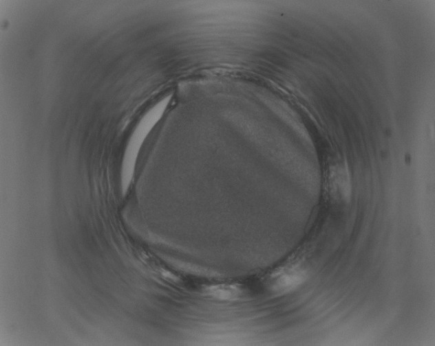 X0000067900508200604271856