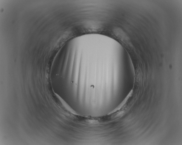 X0000067900509200604271856