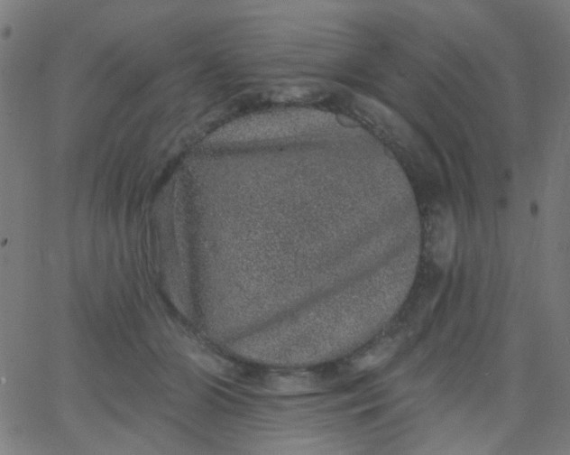 X0000067900510200604271856