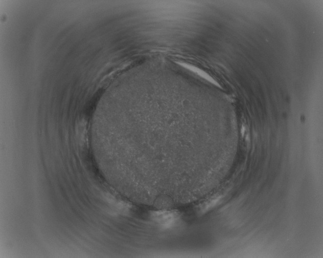 X0000067900511200604271856