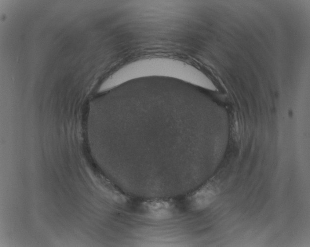 X0000067900512200604271856