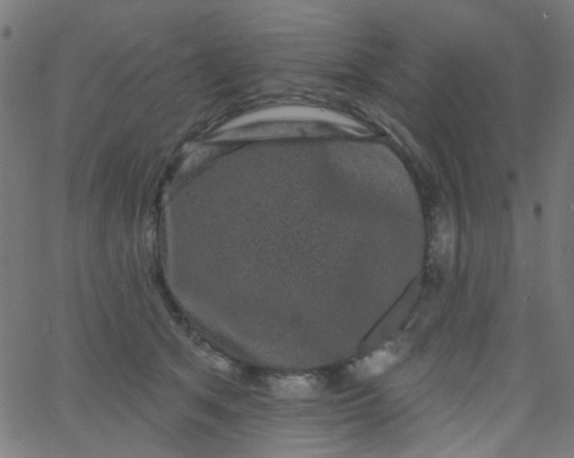 X0000067900513200604271856