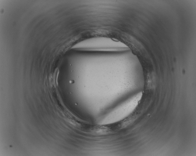 X0000067900514200604271856