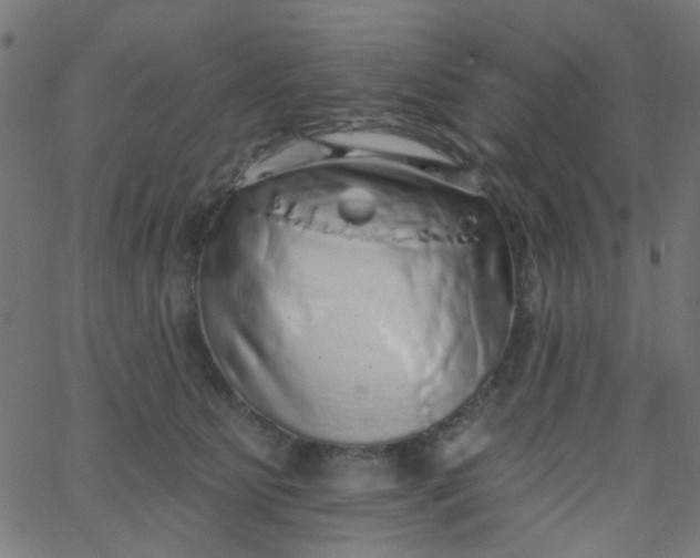 X0000067900515200604271856