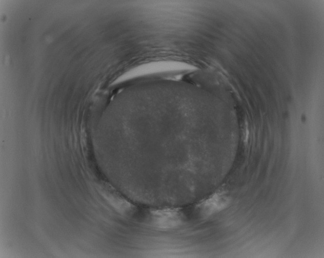 X0000067900516200604271856