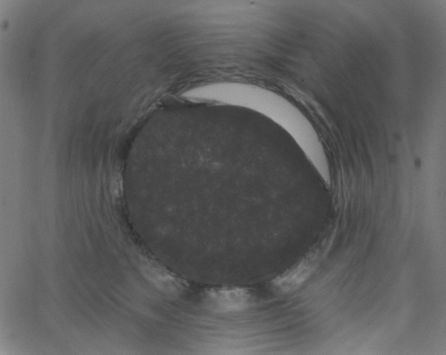 X0000067900517200604271856