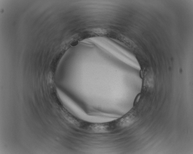 X0000067900518200604271856