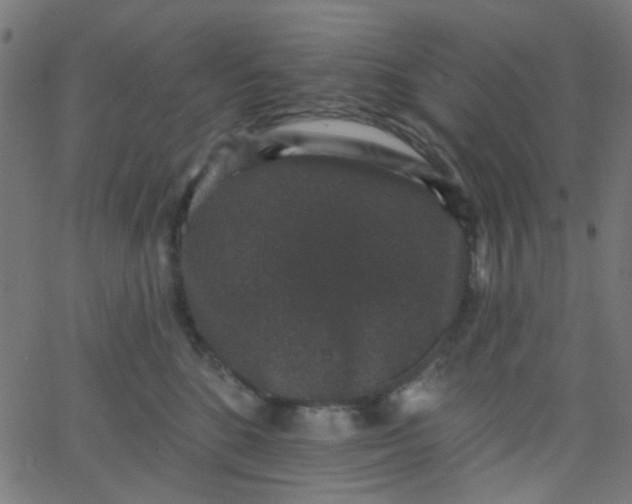 X0000067900520200604271856