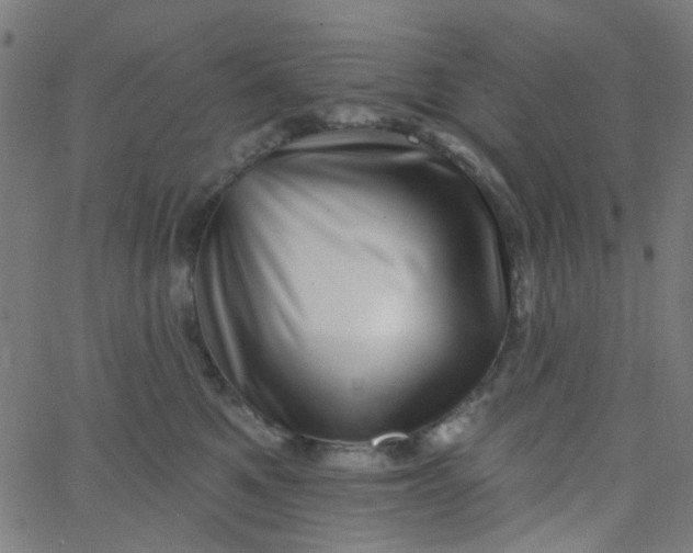 X0000067900521200604271856