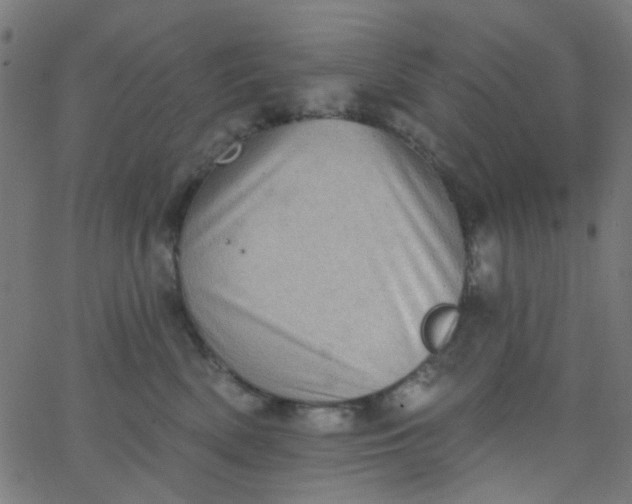 X0000067900522200604271856