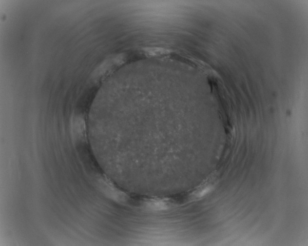 X0000067900523200604271856