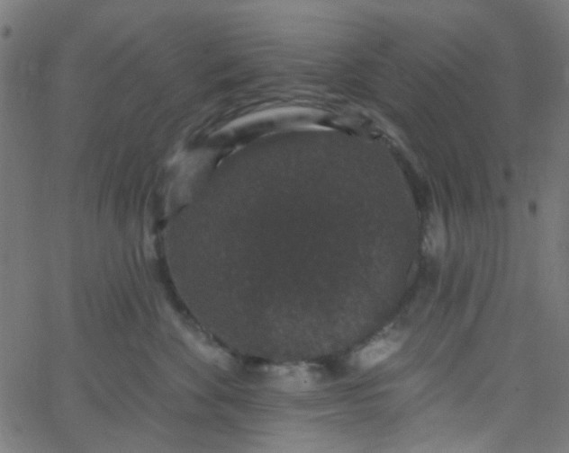 X0000067900524200604271856