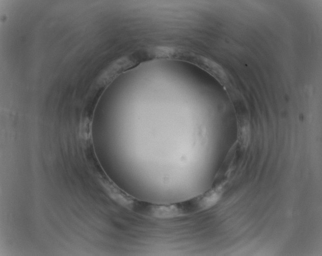 X0000067900525200604271856