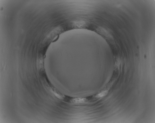 X0000067900526200604271856