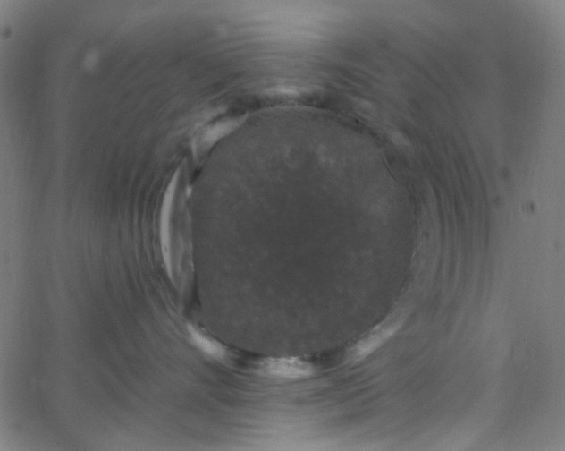 X0000067900528200604271855