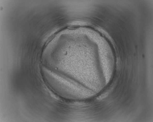 X0000067900529200604271855