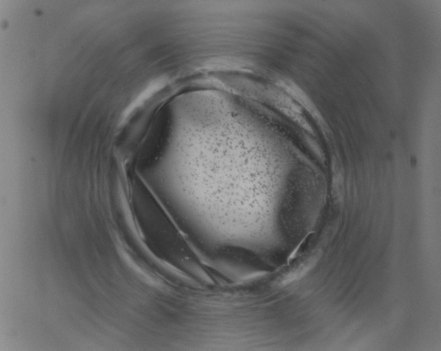 X0000067900530200604271855