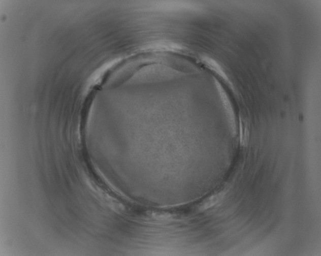 X0000067900531200604271855