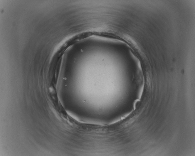 X0000067900532200604271855