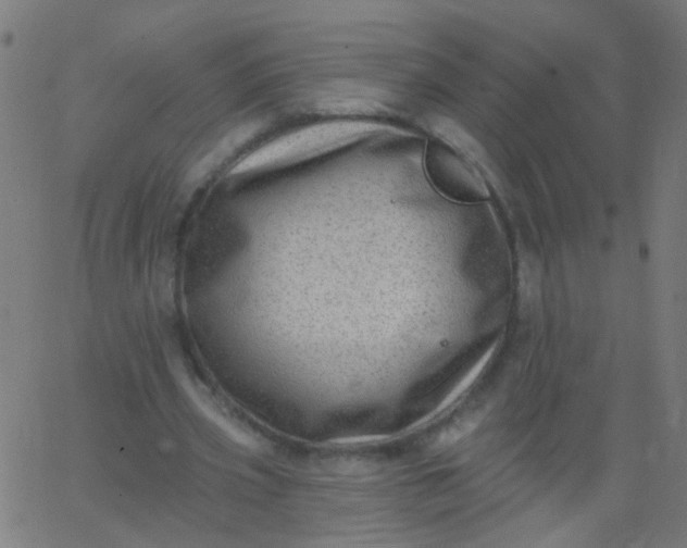 X0000067900533200604271855