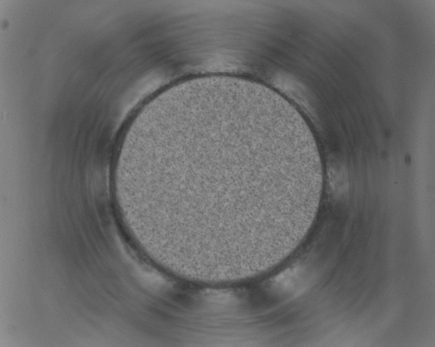 X0000067900534200604271855