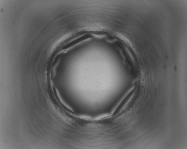 X0000067900535200604271855