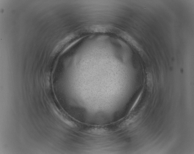 X0000067900537200604271855