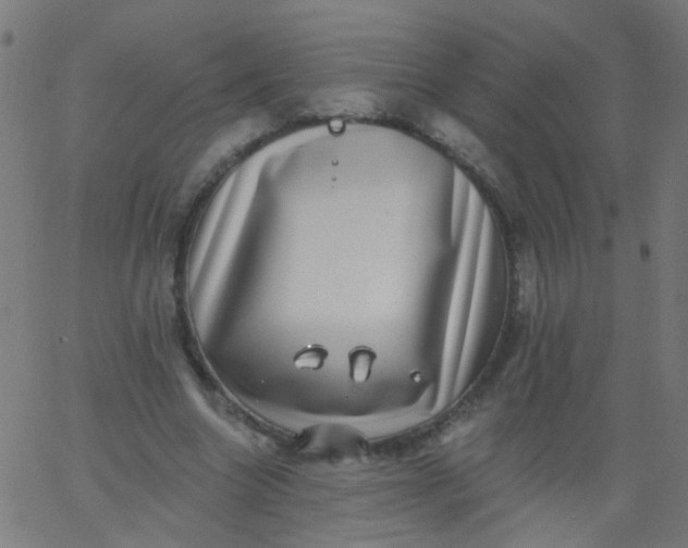 X0000067900538200604271855