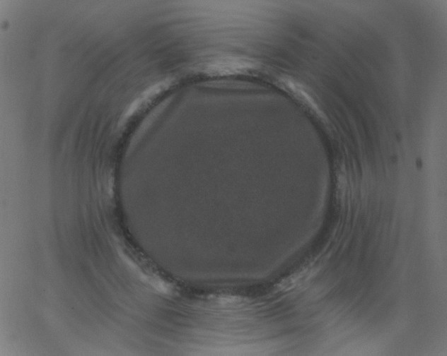 X0000067900539200604271855