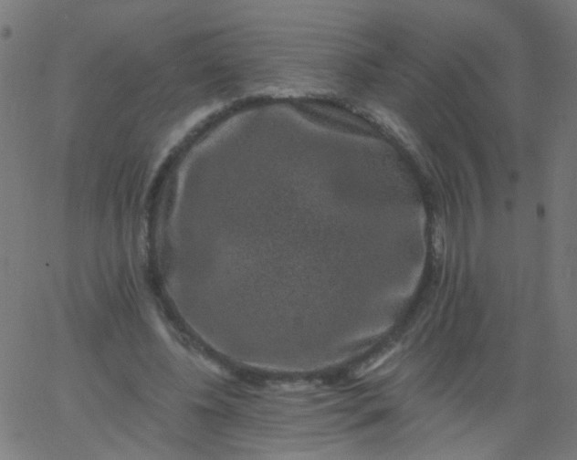 X0000067900540200604271855