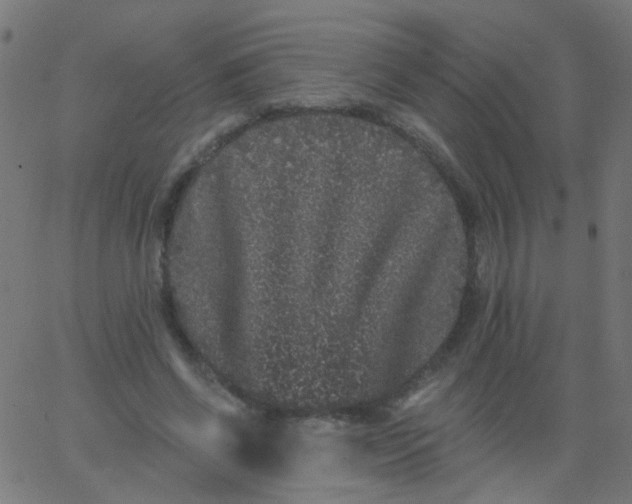 X0000067900542200604271855