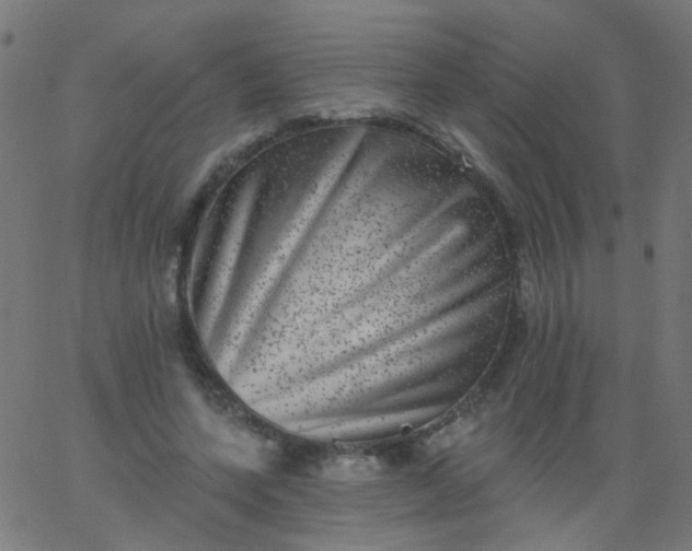 X0000067900543200604271855