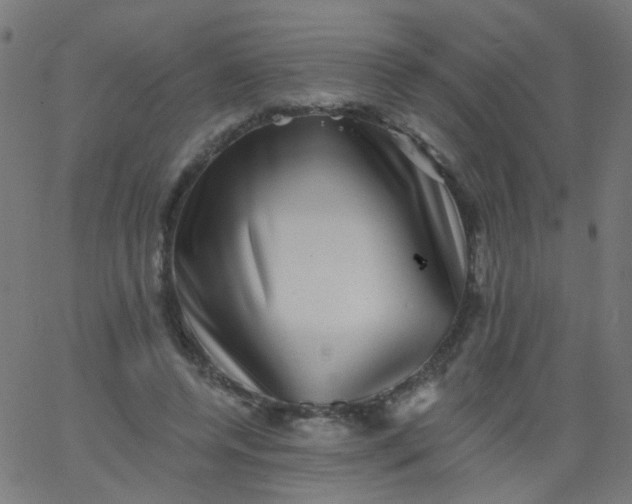 X0000067900544200604271855