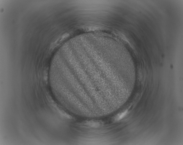 X0000067900545200604271855