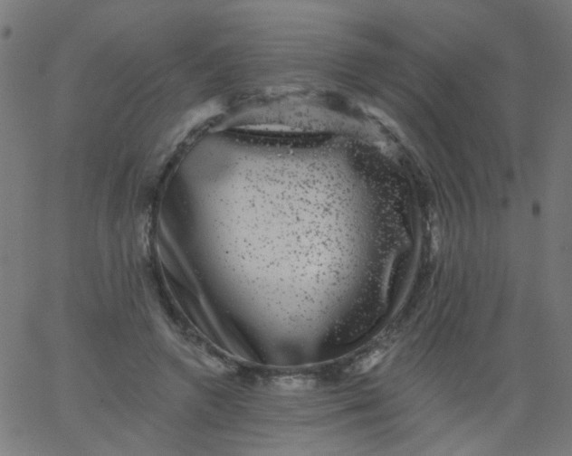 X0000067900546200604271855