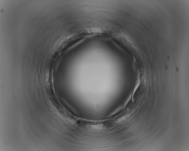 X0000067900548200604271855