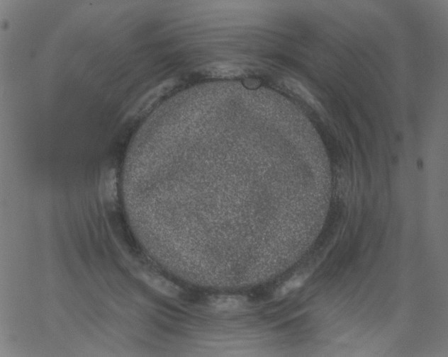 X0000067900549200604271855