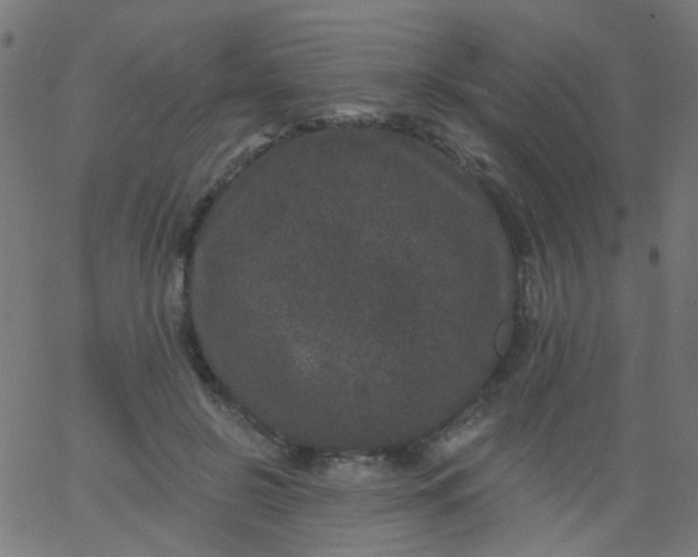 X0000067900550200604271855