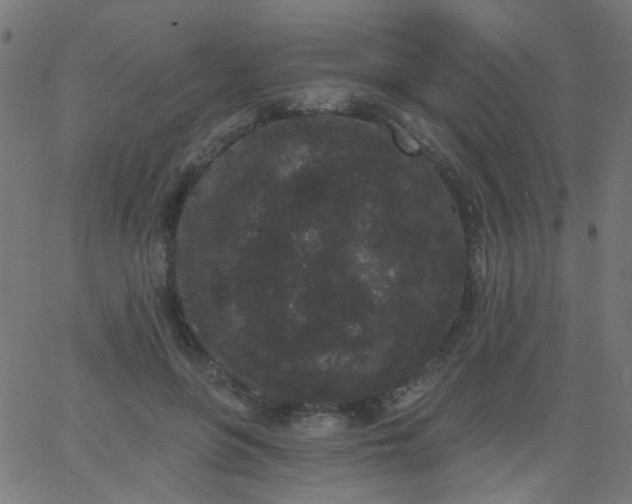 X0000067900551200604271855